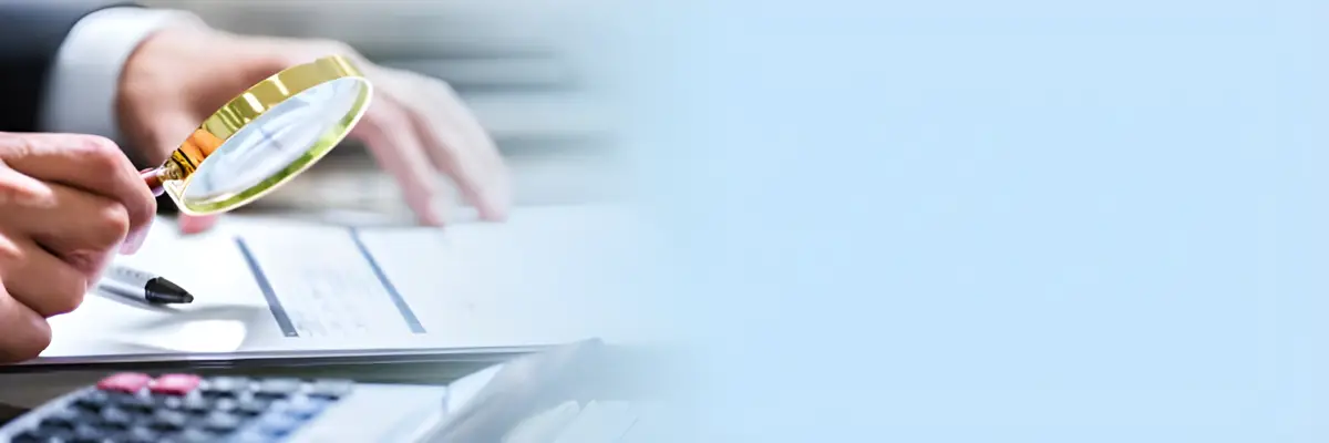 Accounting & Tax Audit